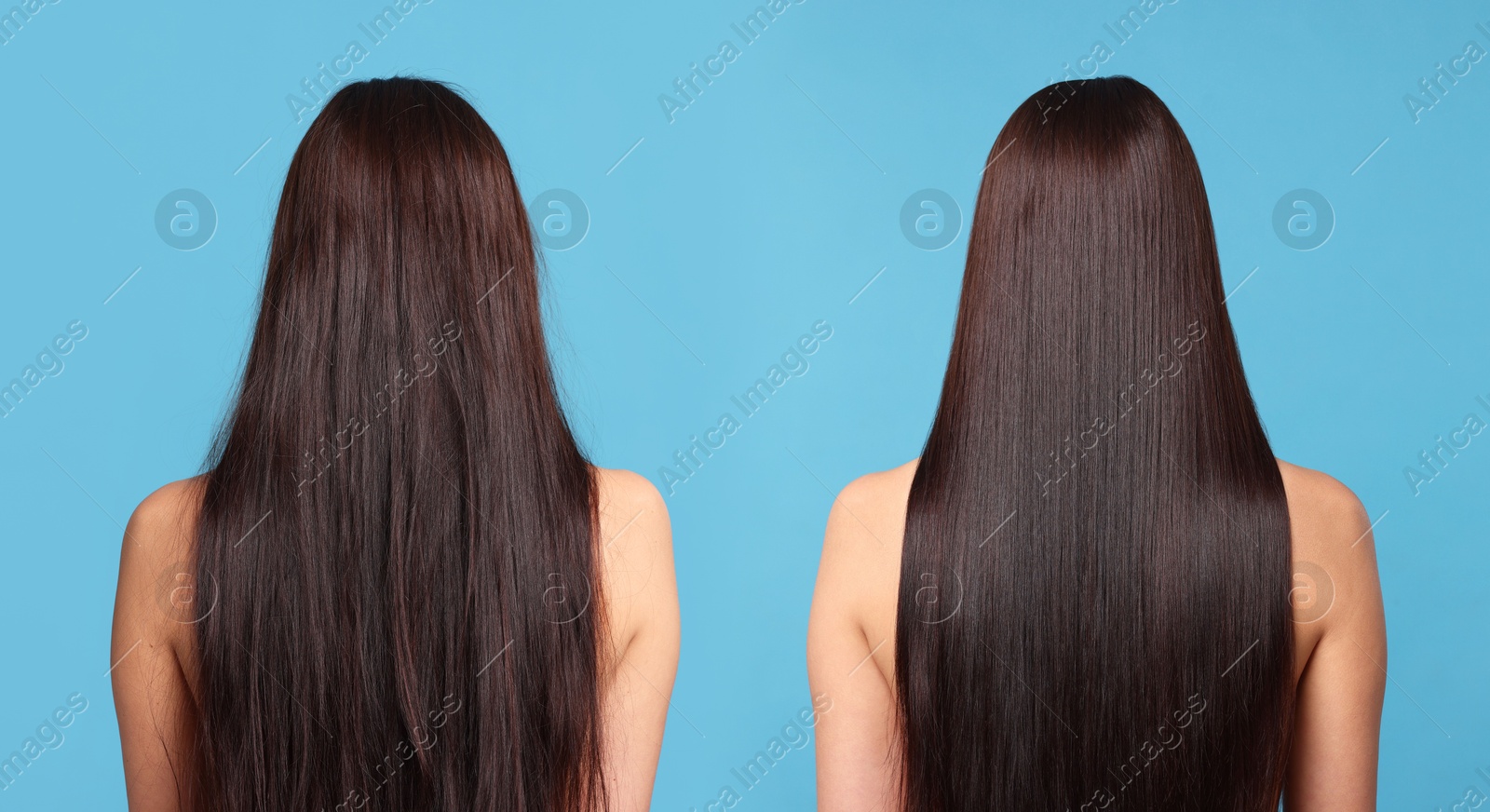 Before and after hair lamination procedure, collage. Woman showing hair on blue background, back view Image of Before and after hair lamination procedure, collage. Woman showing hair on blue background, back view