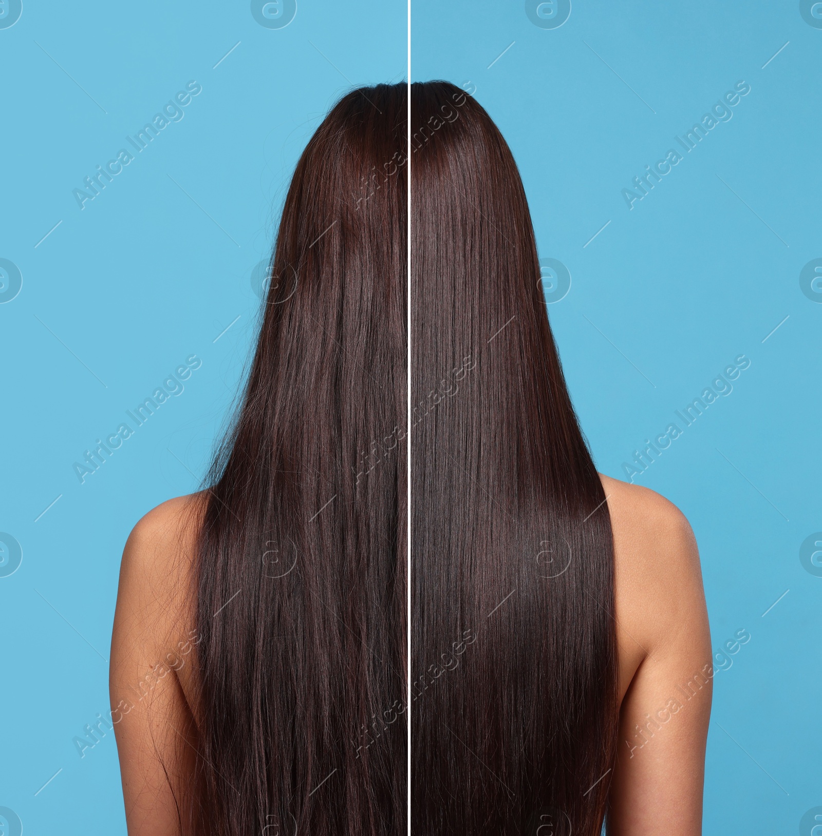 Hair lamination, before and after. Photo of woman on blue background, divided for comparison of hair condition Image of Hair lamination, before and after. Photo of woman on blue background, divided for comparison of hair condition
