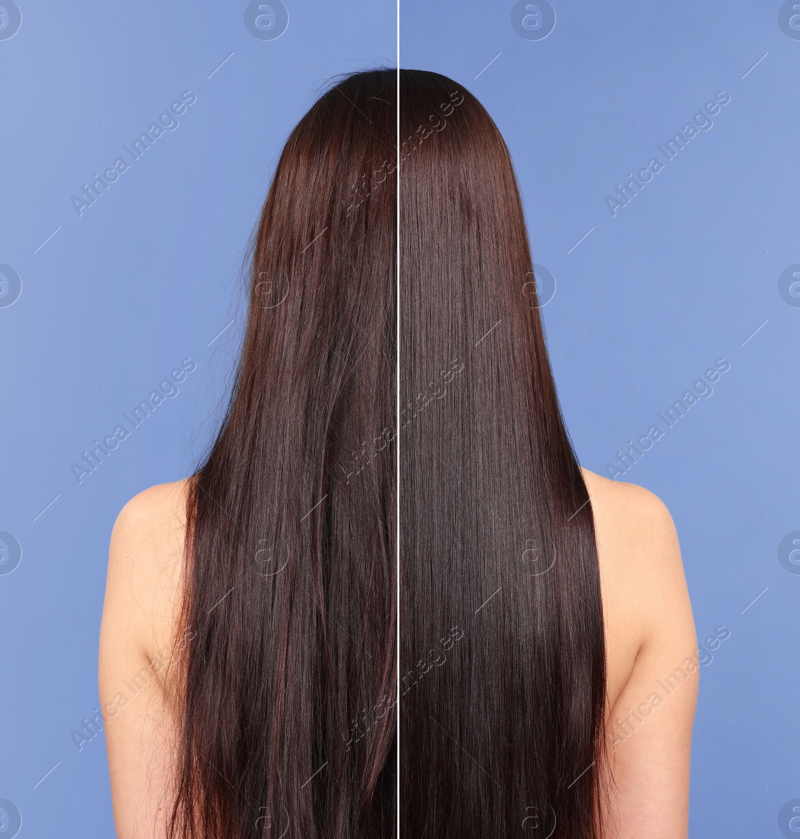 Hair lamination, before and after. Photo of woman on blue violet background, divided for comparison of hair condition Image of Hair lamination, before and after. Photo of woman on blue violet background, divided for comparison of hair condition