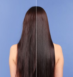 Image of Hair lamination, before and after. Photo of woman on blue violet background, divided for comparison of hair condition
