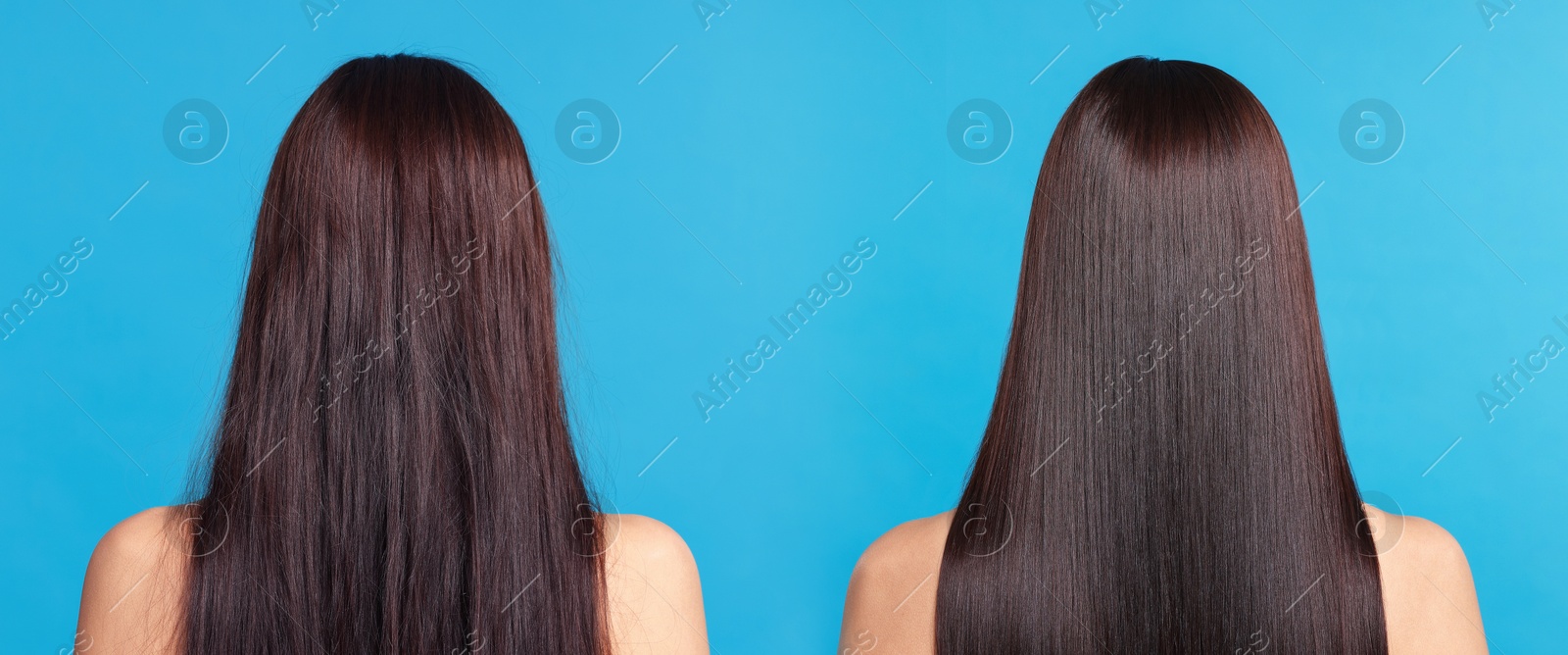 Before and after hair lamination procedure, collage. Woman showing hair on blue background, back view Image of Before and after hair lamination procedure, collage. Woman showing hair on blue background, back view