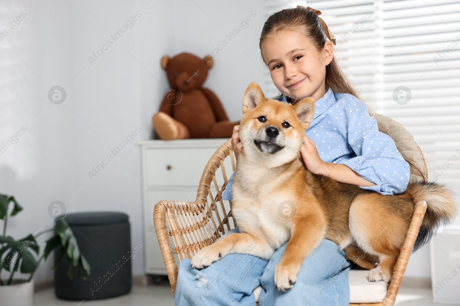 Photo of Portrait of cute little girl with her dog on chair at home, space for text. Child and pet