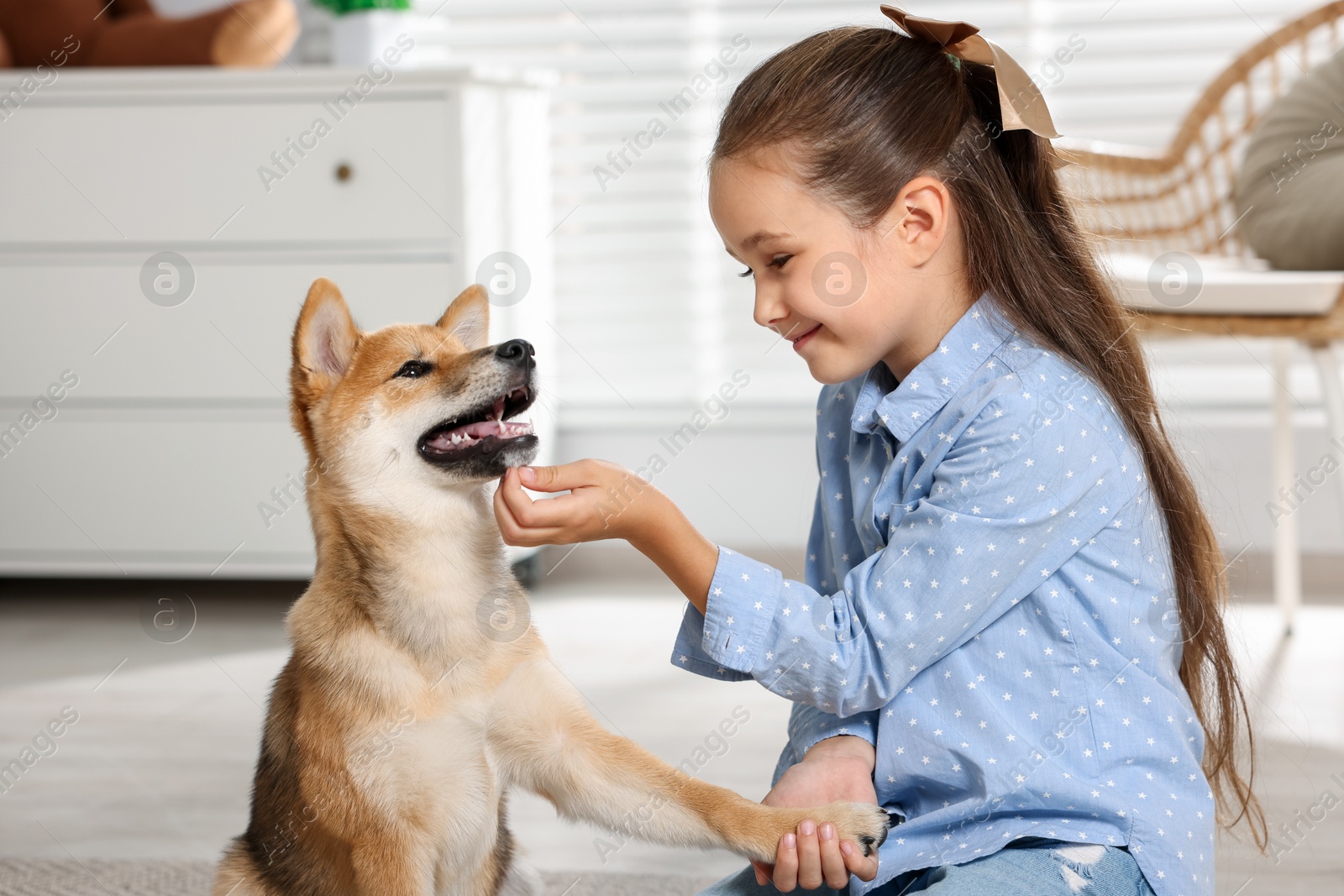 Cute little girl with her dog on floor at home. Child and pet Photo of Cute little girl with her dog on floor at home. Child and pet