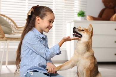 Photo of Smiling little girl with her dog on floor at home. Child and pet