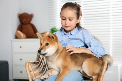 Photo of Cute little girl with her dog on chair at home. Child and pet