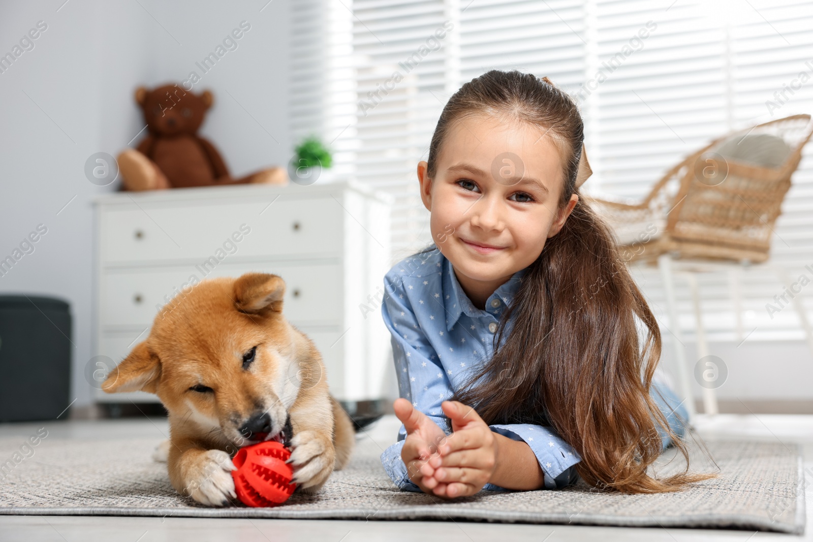 Portrait of cute little girl with her dog and pet toy on floor at home Photo of Portrait of cute little girl with her dog and pet toy on floor at home