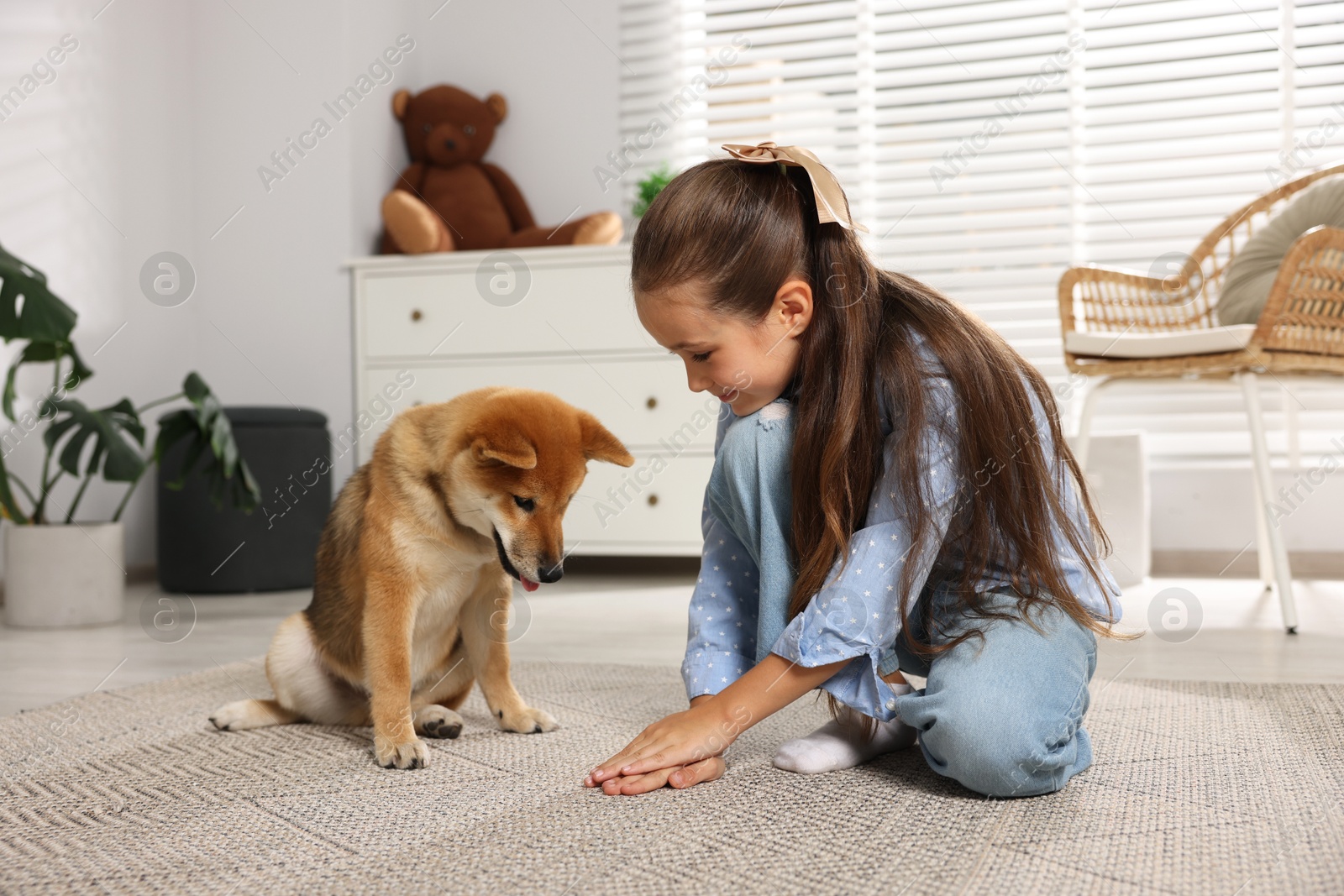 Cute little girl playing with her dog on floor at home. Child and pet Photo of Cute little girl playing with her dog on floor at home. Child and pet