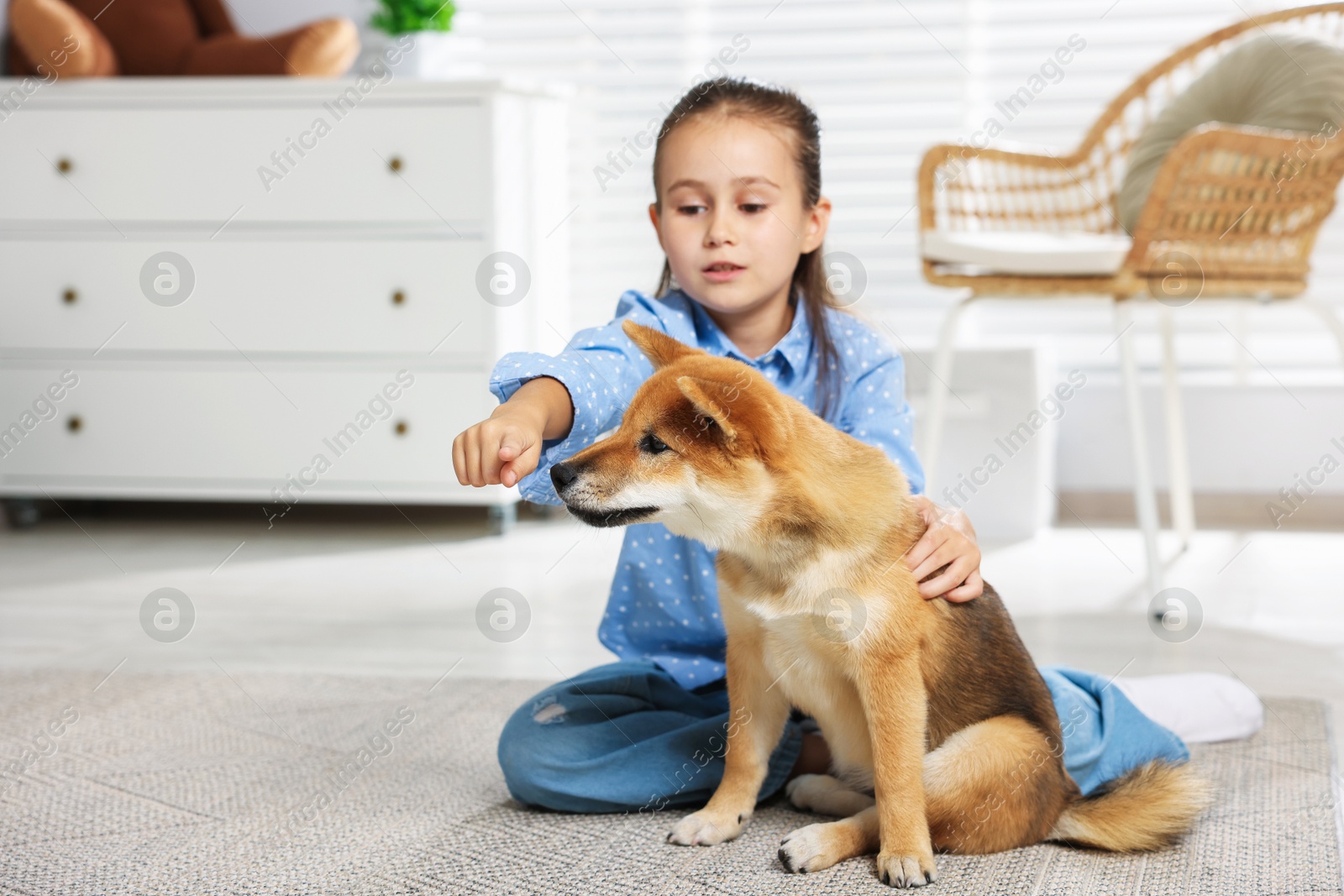Cute little girl pointing at something to her dog on floor at home, space for text. Child and pet Photo of Cute little girl pointing at something to her dog on floor at home, space for text. Child and pet