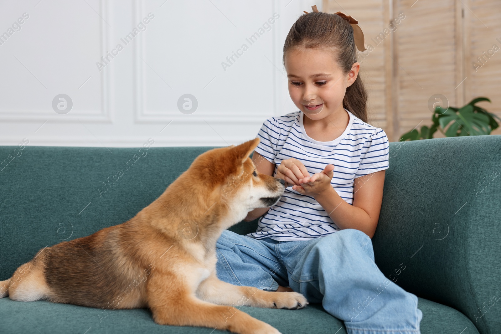 Smiling little girl with her dog on sofa at home. Child and pet Photo of Smiling little girl with her dog on sofa at home. Child and pet