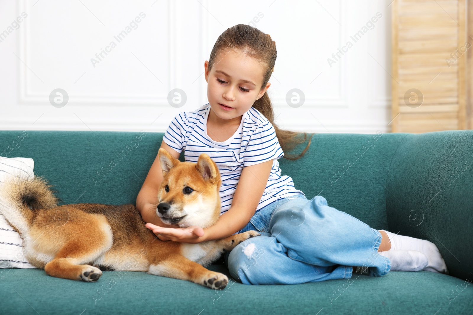 Cute little girl with her dog on sofa at home. Child and pet Photo of Cute little girl with her dog on sofa at home. Child and pet