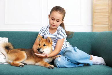 Photo of Cute little girl with her dog on sofa at home. Child and pet