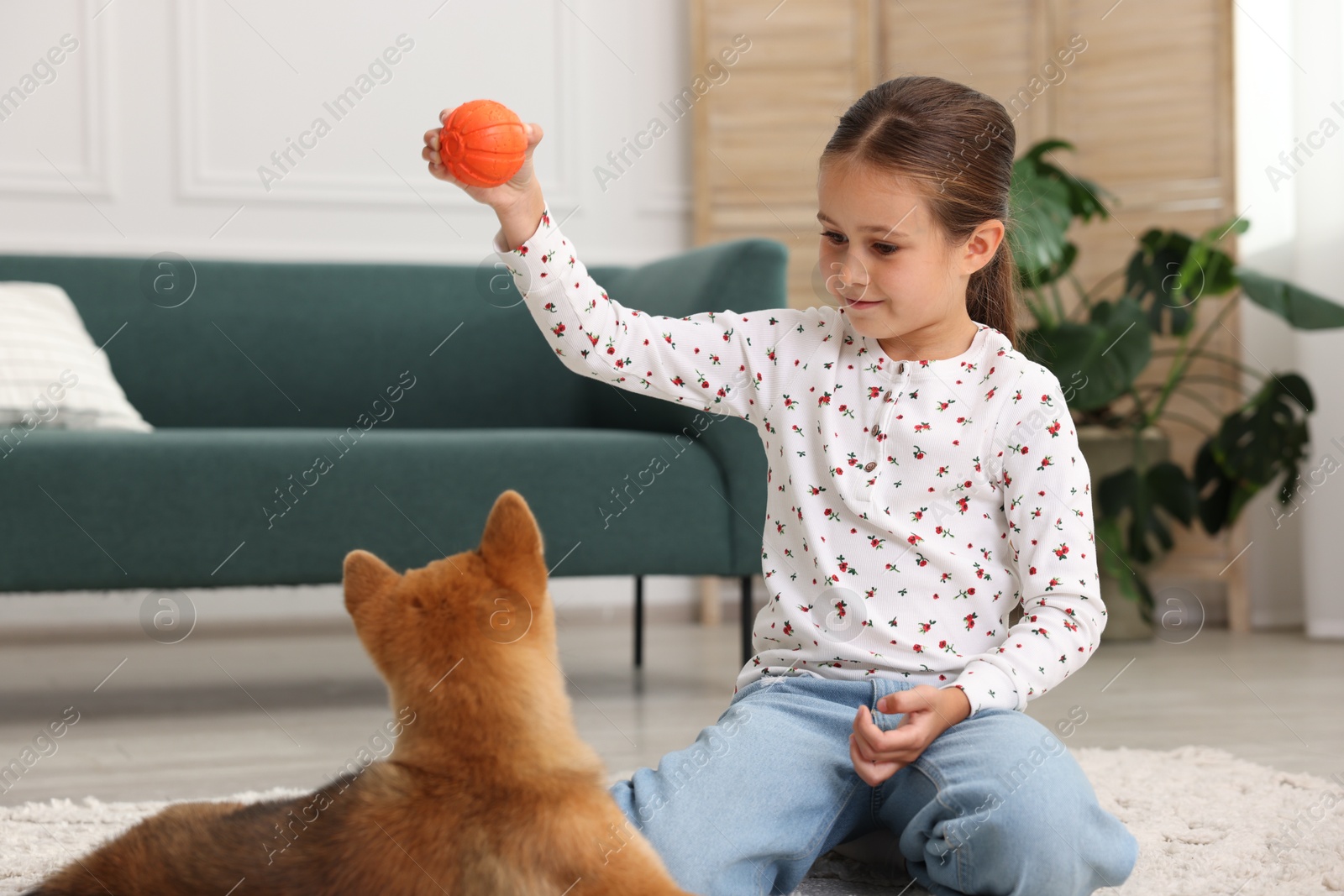 Cute little girl playing with her dog on floor at home. Child and pet Photo of Cute little girl playing with her dog on floor at home. Child and pet