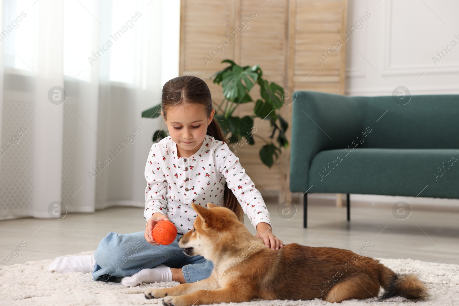 Cute little girl playing with her dog on floor at home. Child and pet Photo of Cute little girl playing with her dog on floor at home. Child and pet