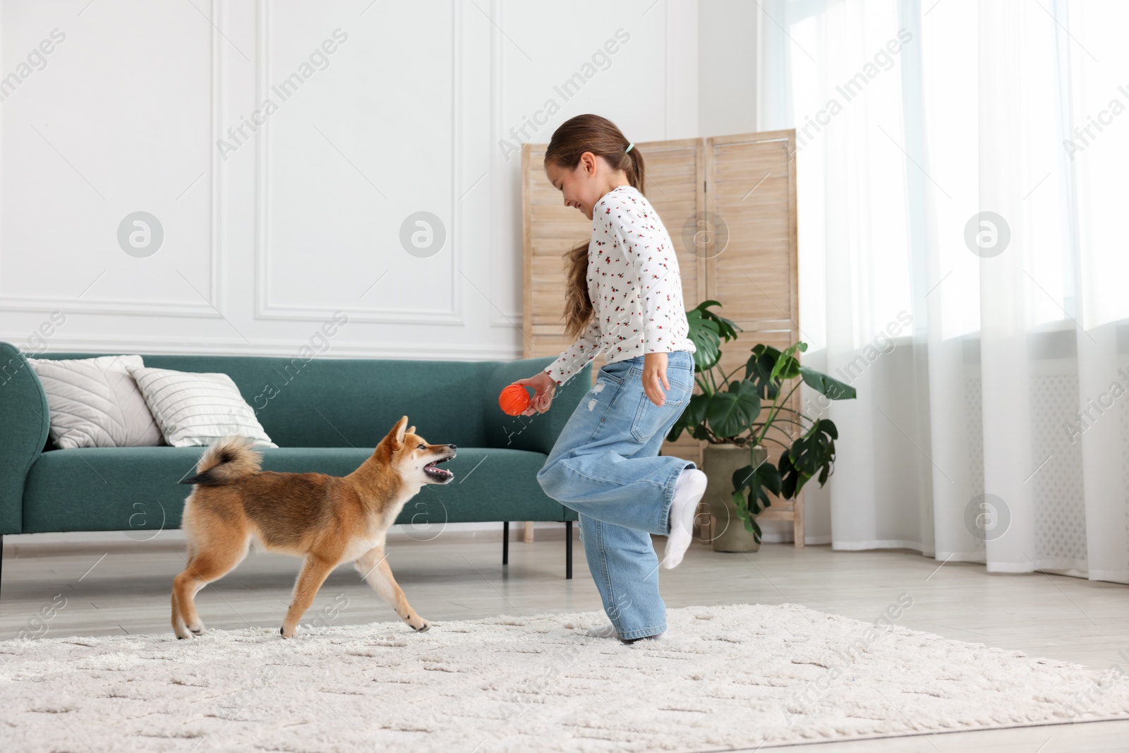 Cute little girl playing with her dog on floor at home. Child and pet Photo of Cute little girl playing with her dog on floor at home. Child and pet