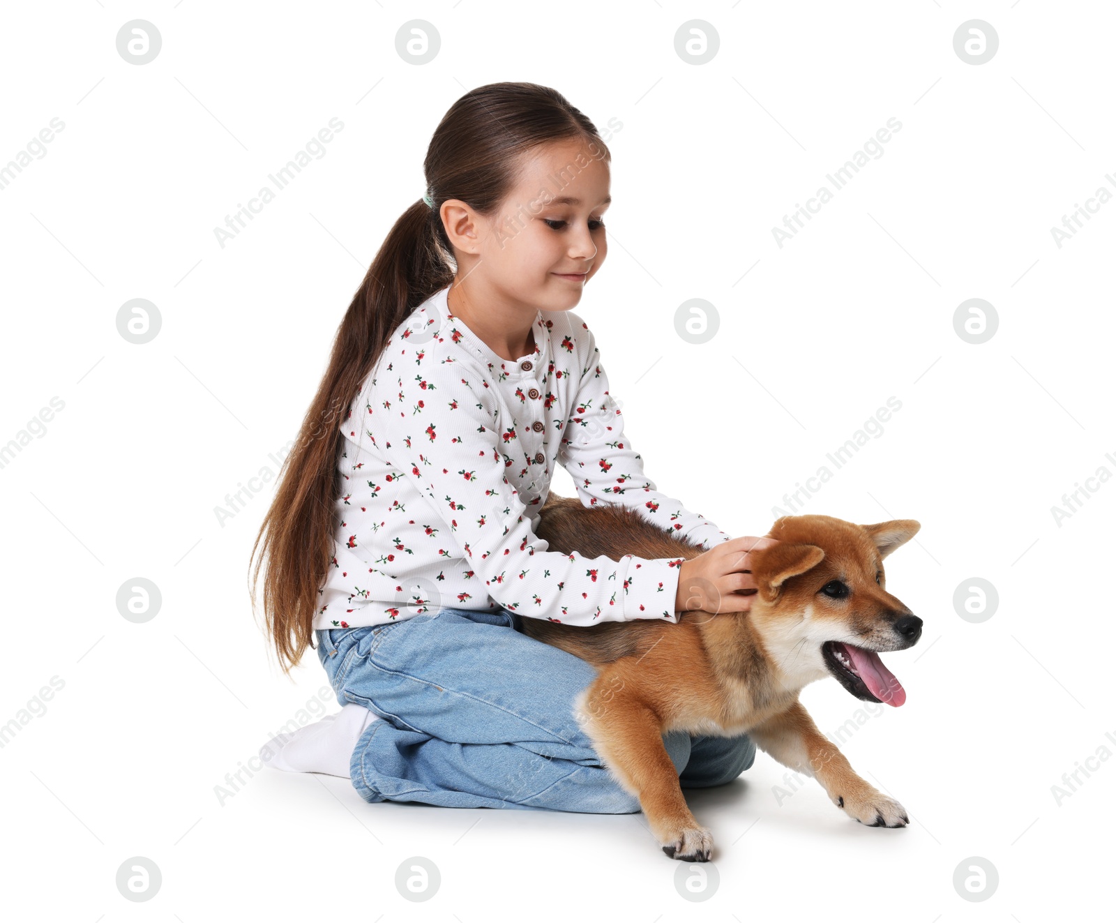 Cute little girl with her dog on white background. Child and pet Photo of Cute little girl with her dog on white background. Child and pet