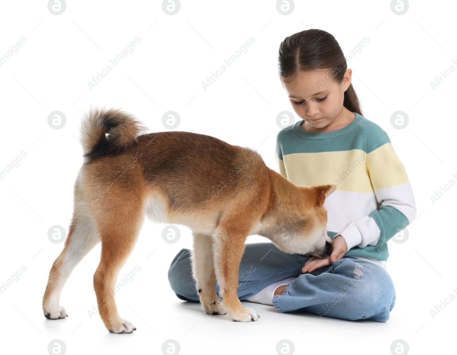 Cute little girl with her dog on white background. Child and pet Photo of Cute little girl with her dog on white background. Child and pet