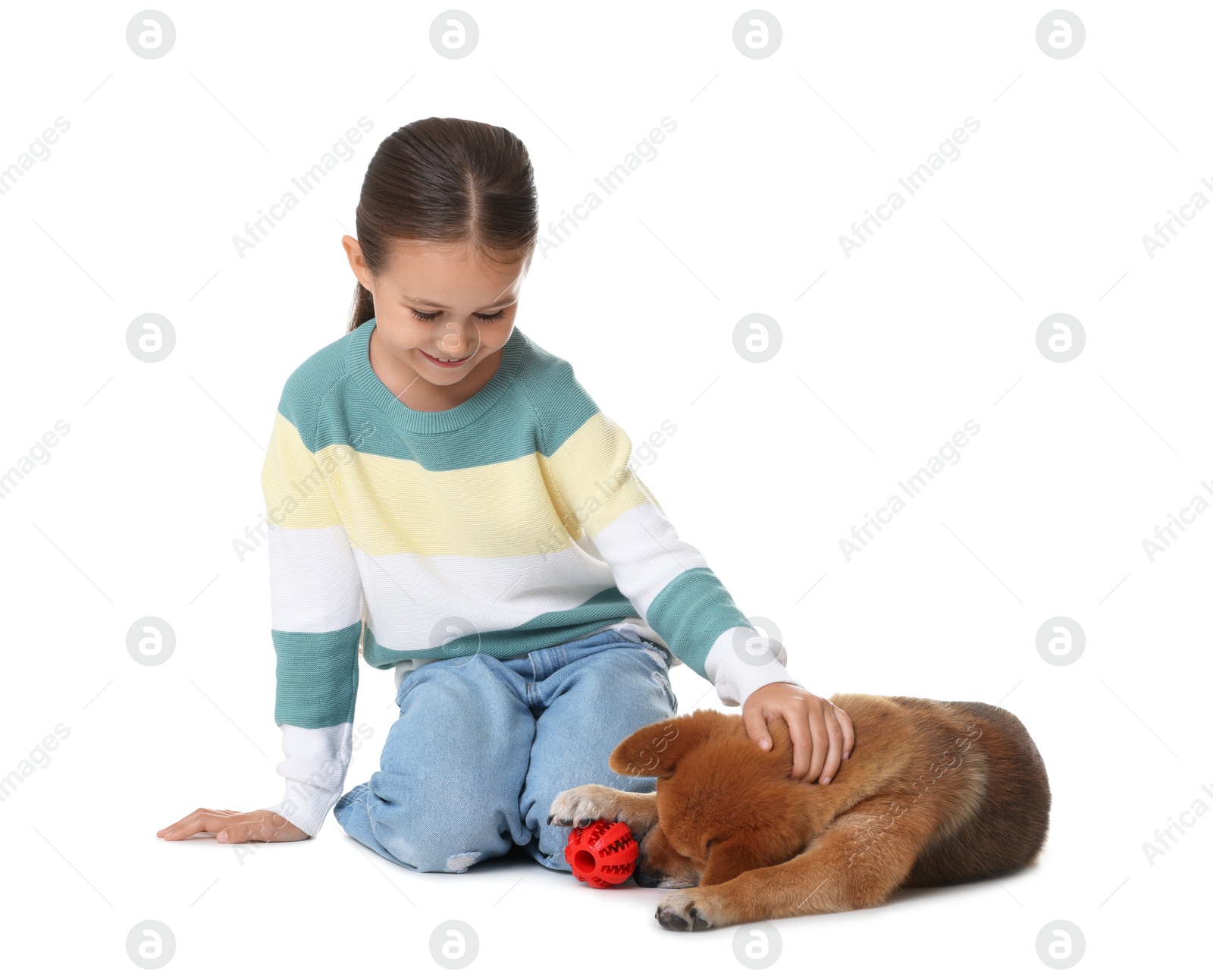Smiling little girl and her dog with pet toy on white background Photo of Smiling little girl and her dog with pet toy on white background