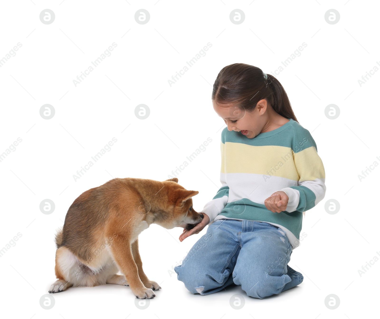 Happy little girl with her dog on white background. Child and pet Photo of Happy little girl with her dog on white background. Child and pet