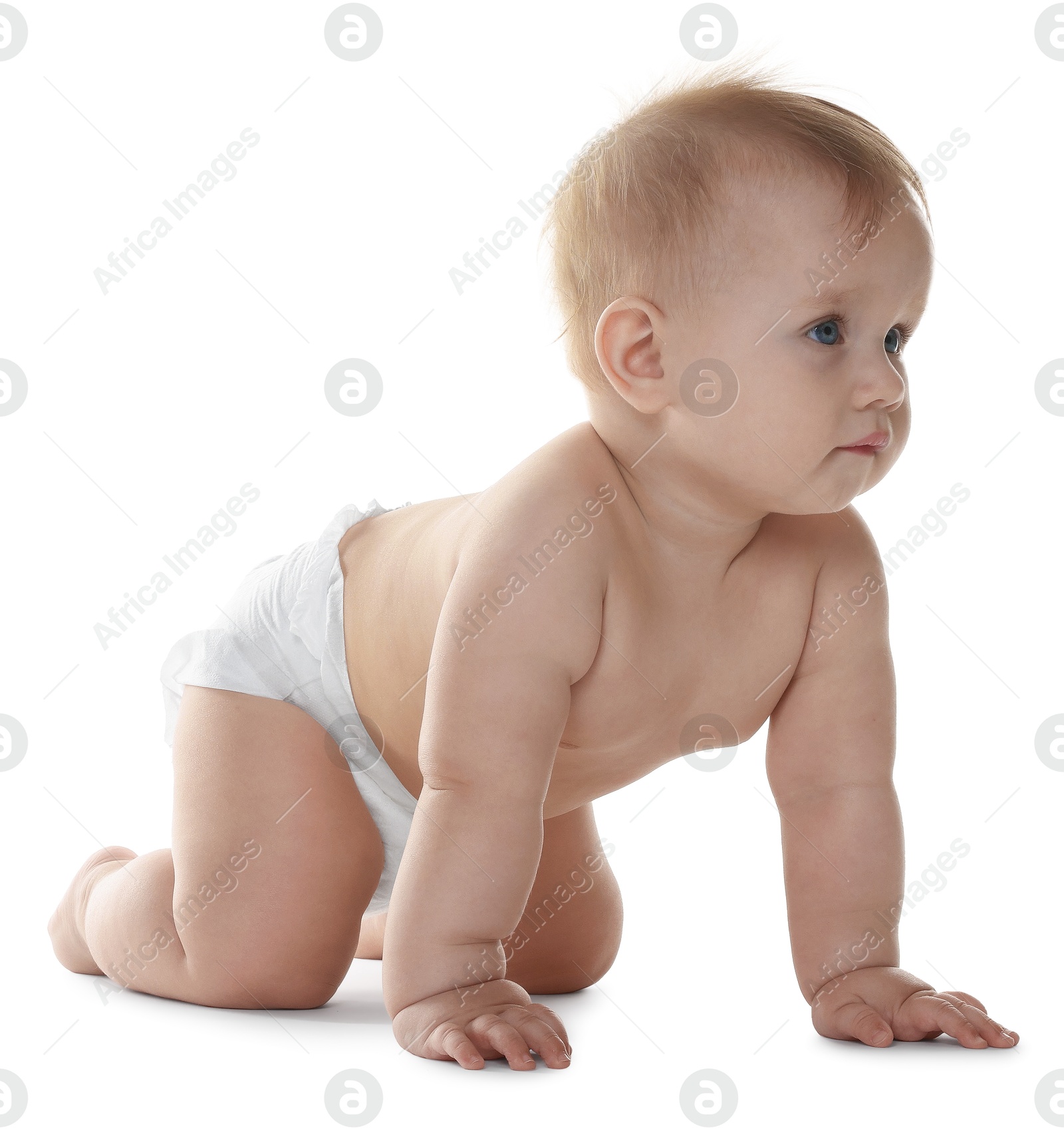Photo of Cute little baby in diaper on white background