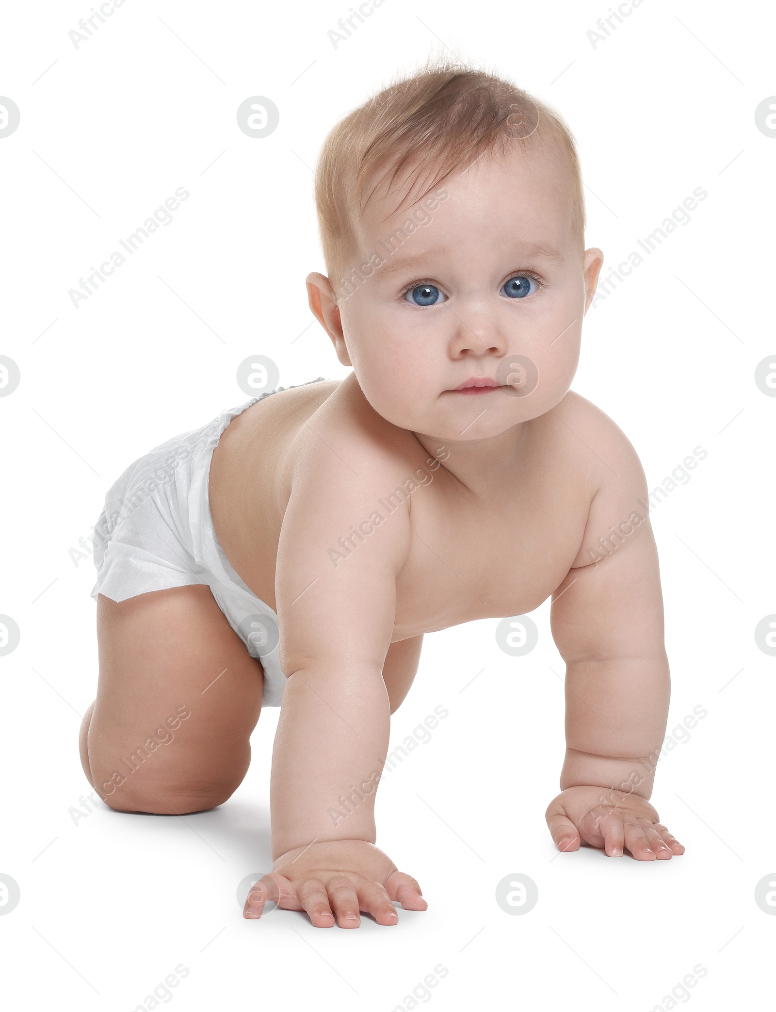 Photo of Cute little baby in diaper on white background