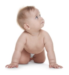 Photo of Cute little baby in diaper on white background