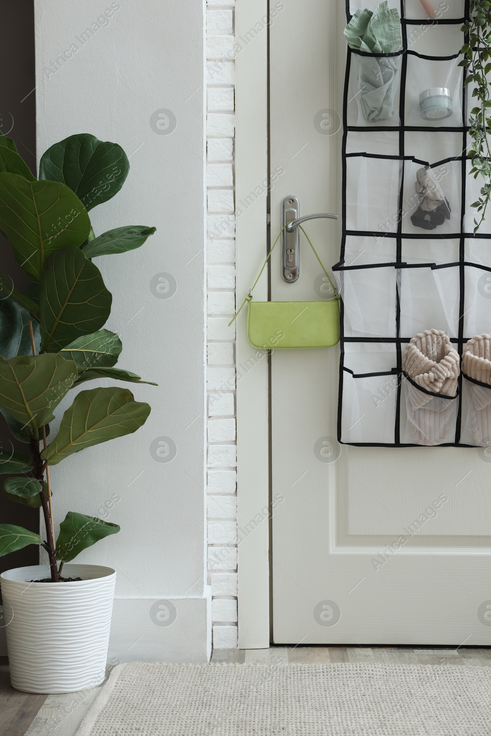 Organizer with different stuff on door and houseplant indoors Photo of Organizer with different stuff on door and houseplant indoors