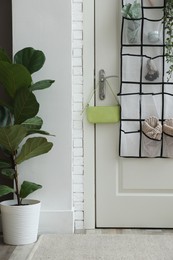 Photo of Organizer with different stuff on door and houseplant indoors