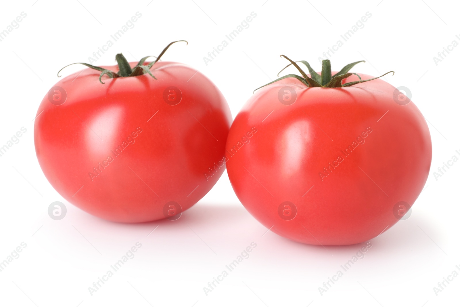 Two ripe red tomatoes isolated on white Photo of Two ripe red tomatoes isolated on white