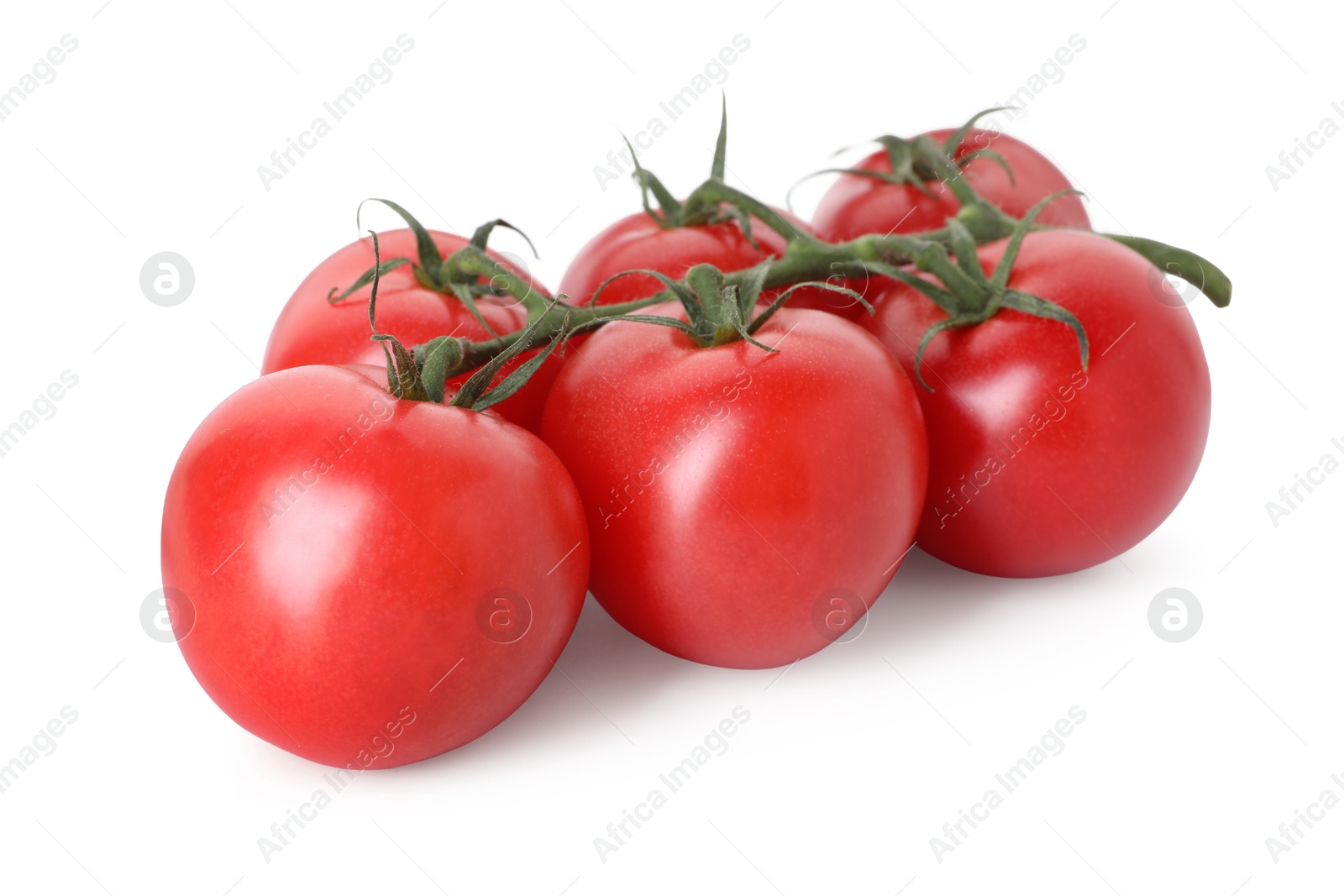 Many ripe red tomatoes isolated on white Photo of Many ripe red tomatoes isolated on white