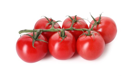 Photo of Many ripe red tomatoes isolated on white