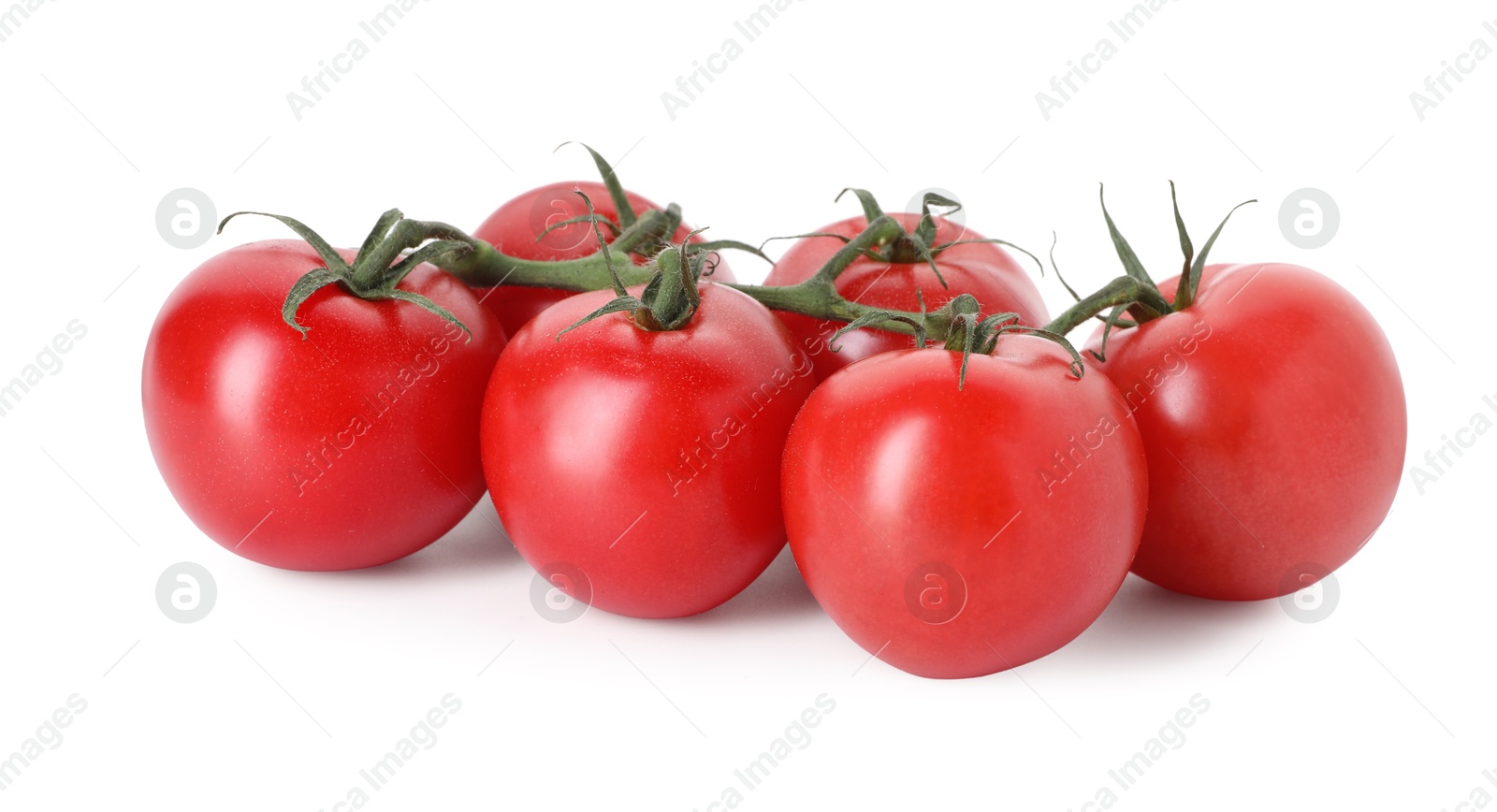 Many ripe red tomatoes isolated on white Photo of Many ripe red tomatoes isolated on white