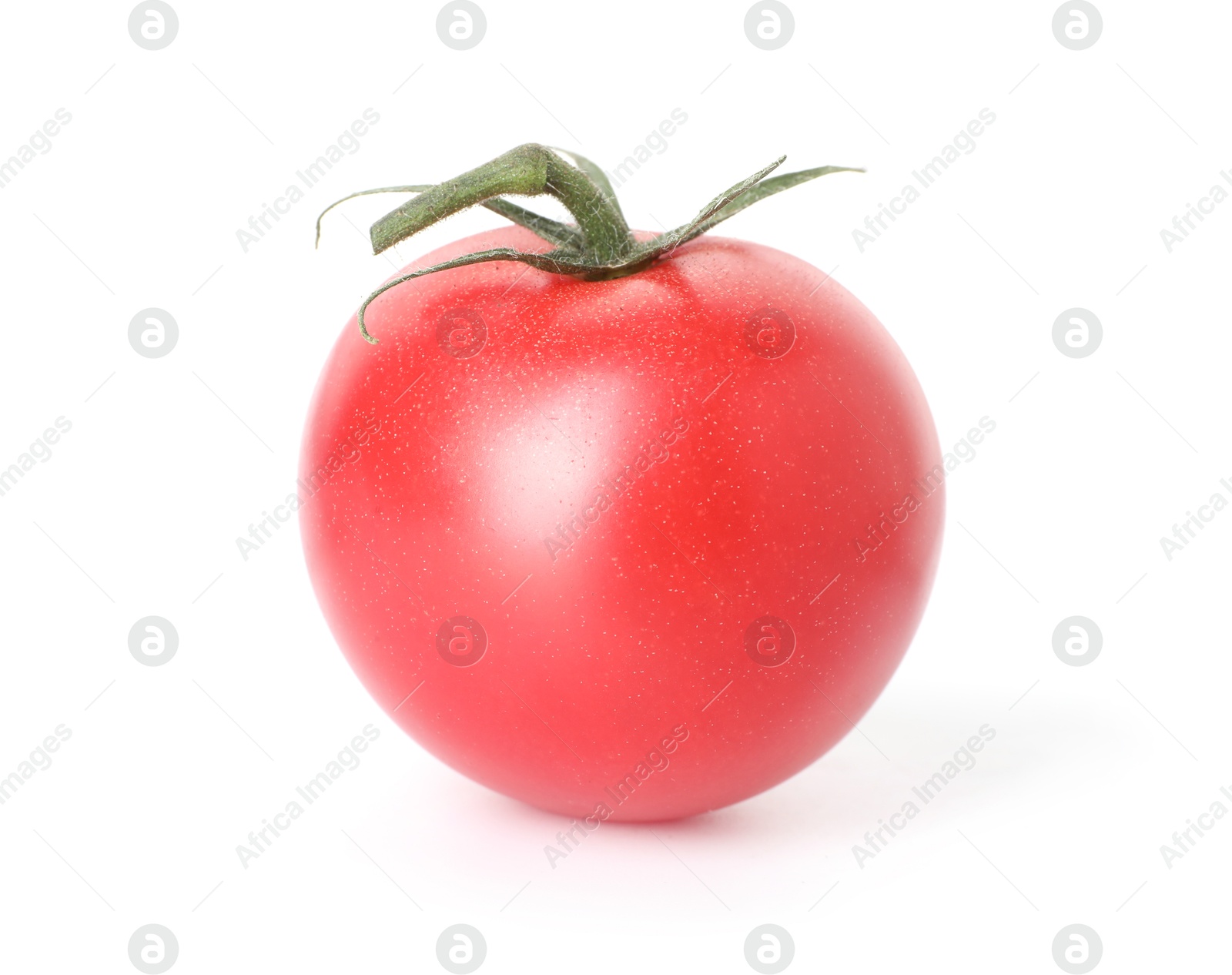 One ripe red tomato isolated on white Photo of One ripe red tomato isolated on white