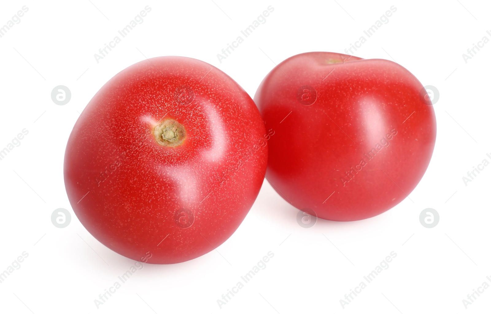 Two ripe red tomatoes isolated on white Photo of Two ripe red tomatoes isolated on white