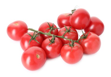 Photo of Branch with ripe red tomatoes isolated on white
