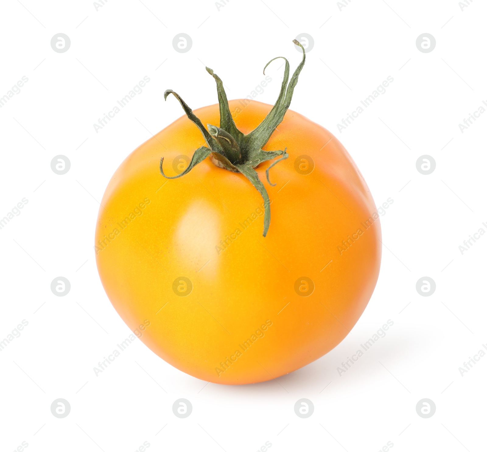 One ripe yellow tomato isolated on white Photo of One ripe yellow tomato isolated on white