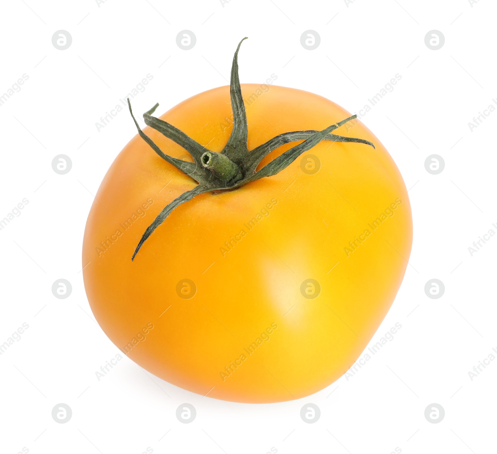 One ripe yellow tomato isolated on white Photo of One ripe yellow tomato isolated on white