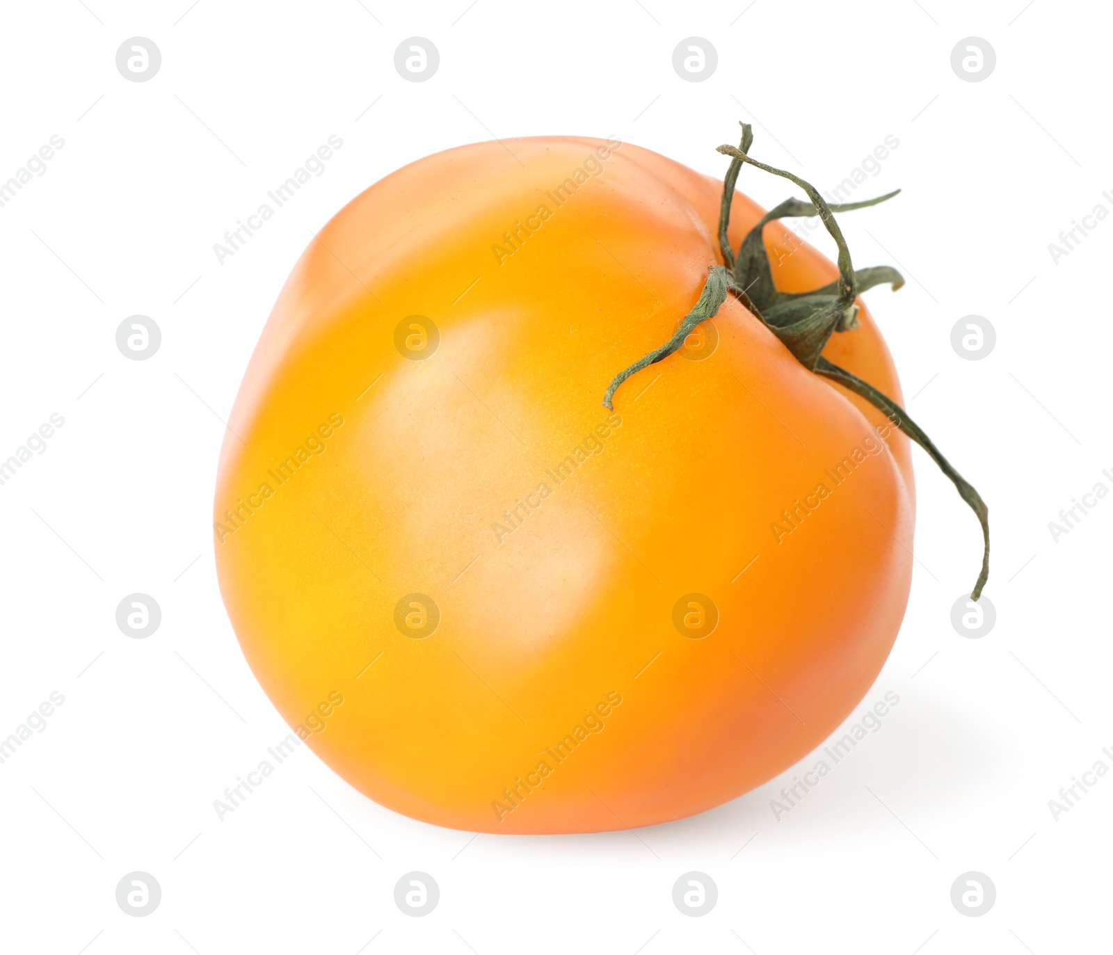 One ripe yellow tomato isolated on white Photo of One ripe yellow tomato isolated on white