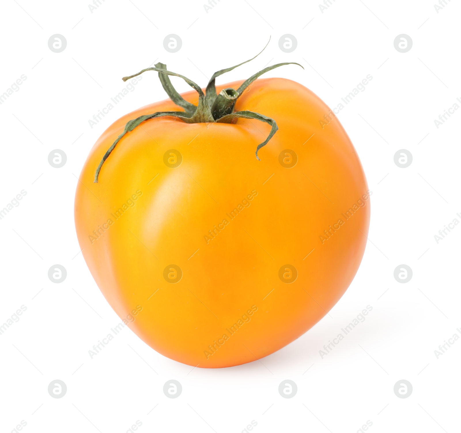 One ripe yellow tomato isolated on white Photo of One ripe yellow tomato isolated on white