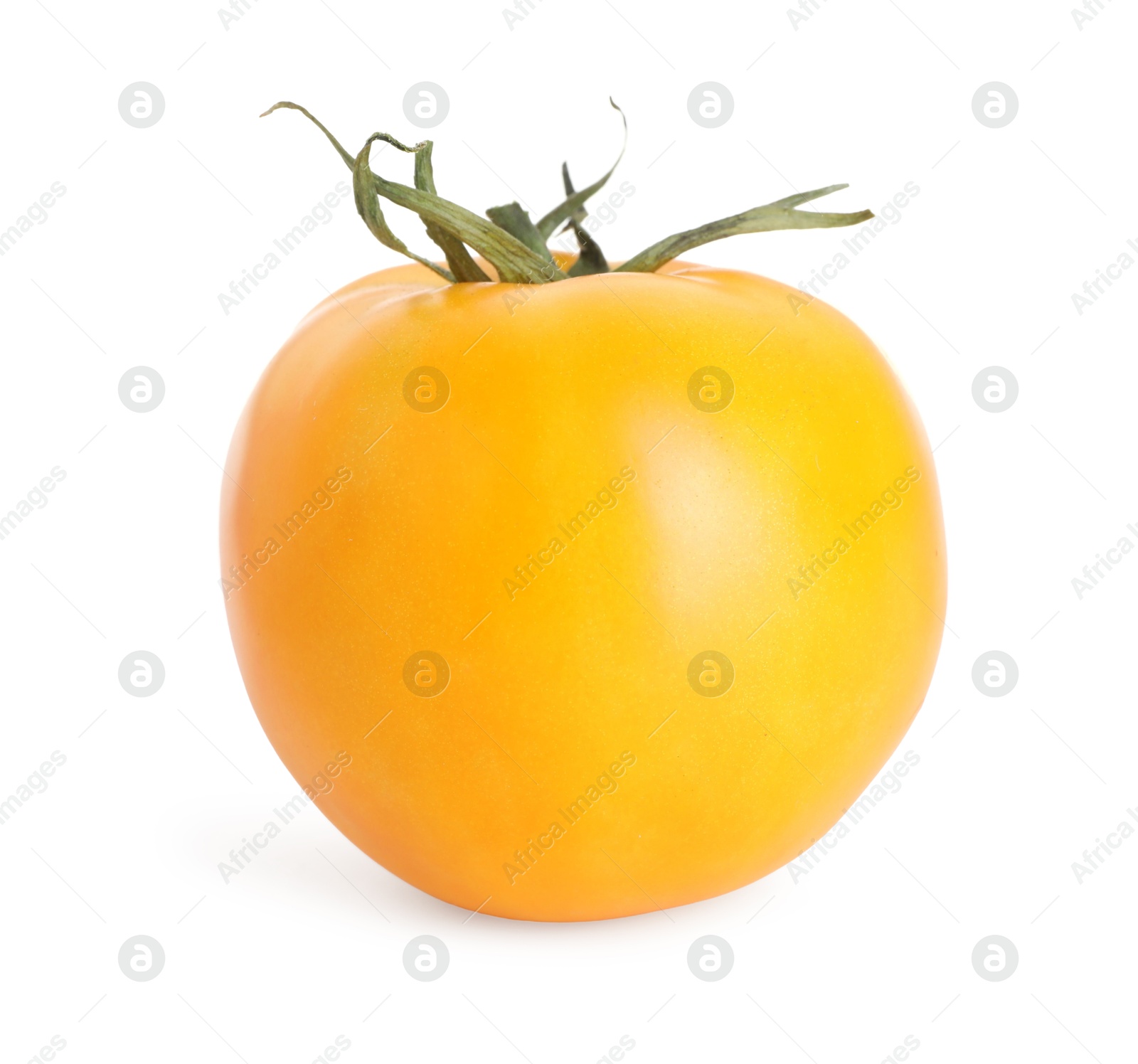 One ripe yellow tomato isolated on white Photo of One ripe yellow tomato isolated on white