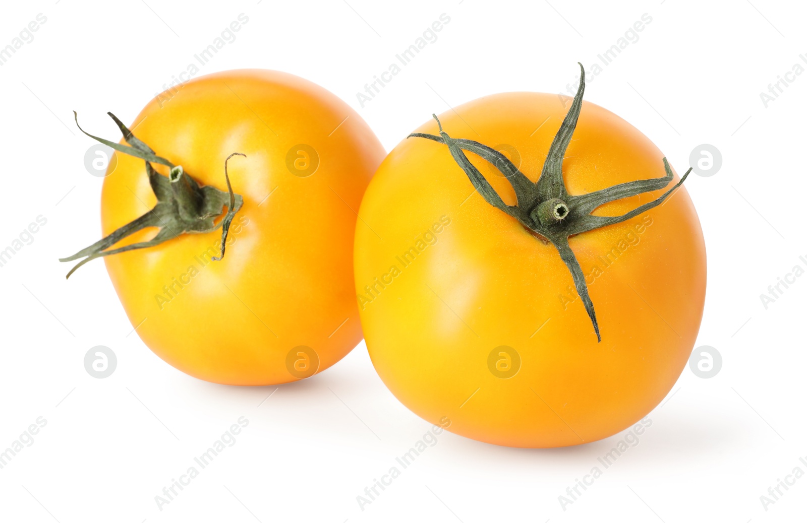 Two ripe yellow tomatoes isolated on white Photo of Two ripe yellow tomatoes isolated on white