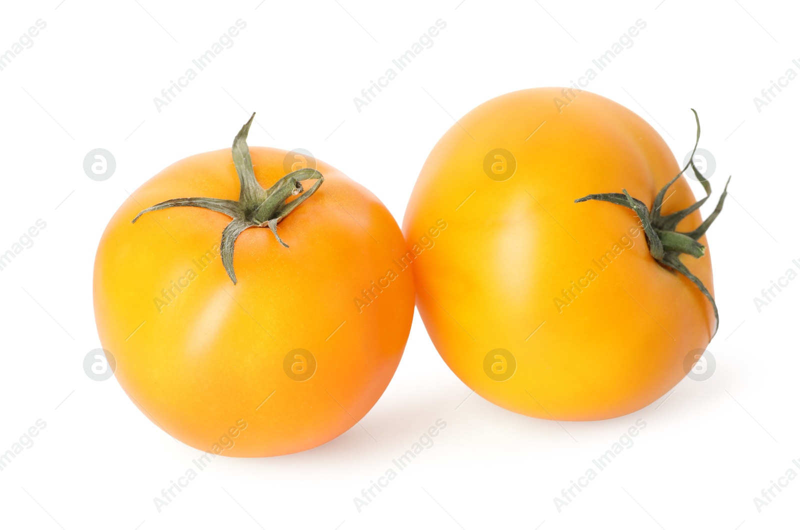 Photo of Two ripe yellow tomatoes isolated on white