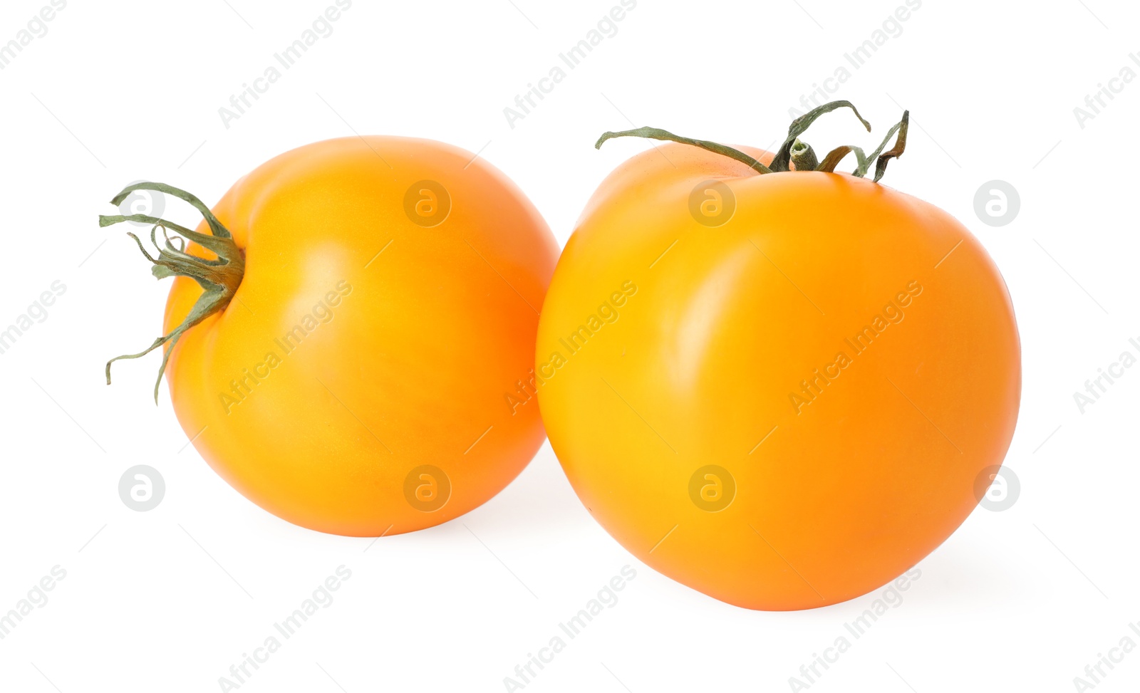 Photo of Two ripe yellow tomatoes isolated on white