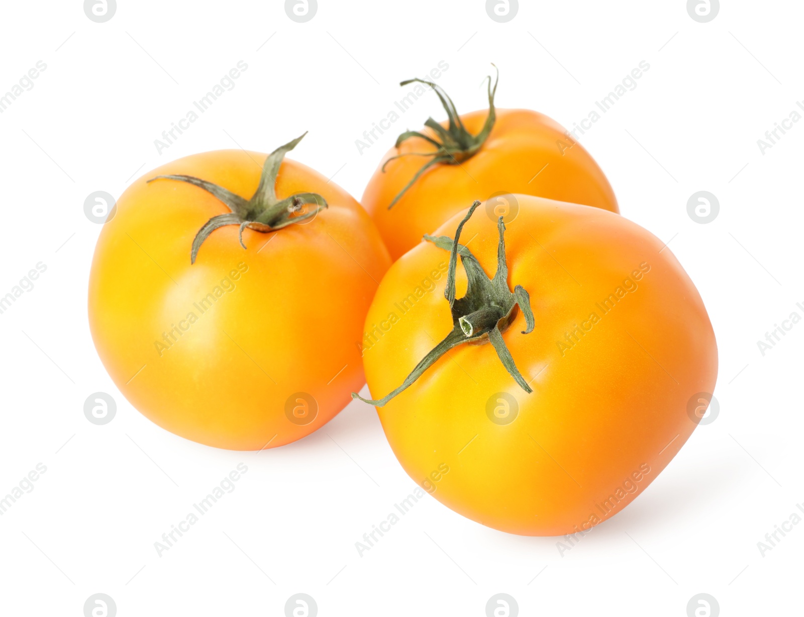 Many ripe yellow tomatoes isolated on white Photo of Many ripe yellow tomatoes isolated on white