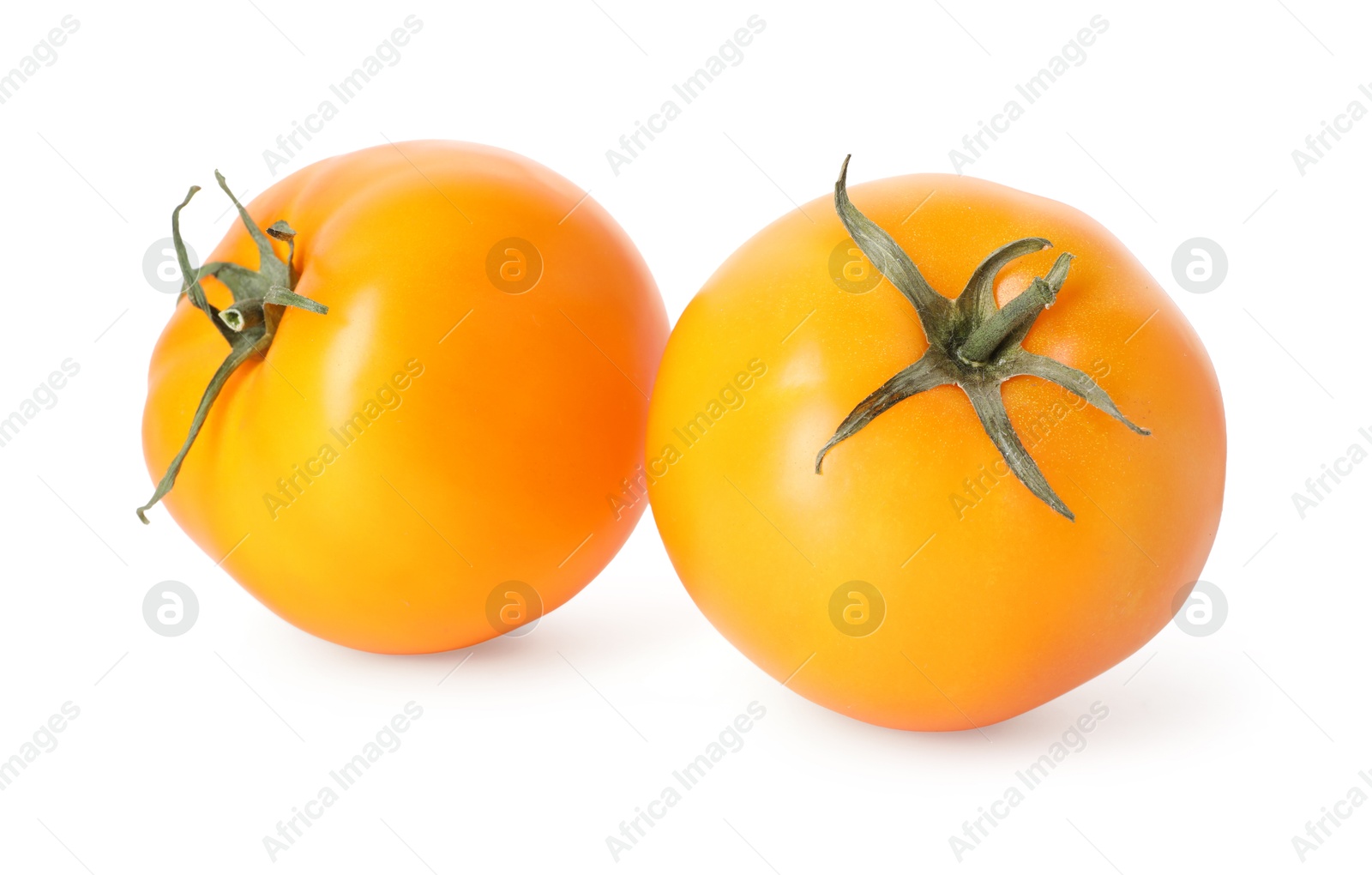 Two ripe yellow tomatoes isolated on white Photo of Two ripe yellow tomatoes isolated on white