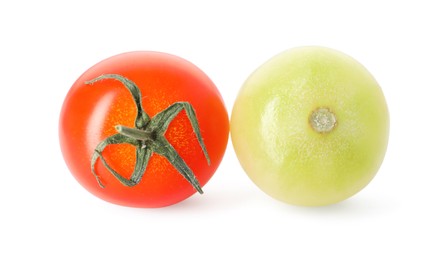 Photo of Ripe and unripe cherry tomatoes isolated on white