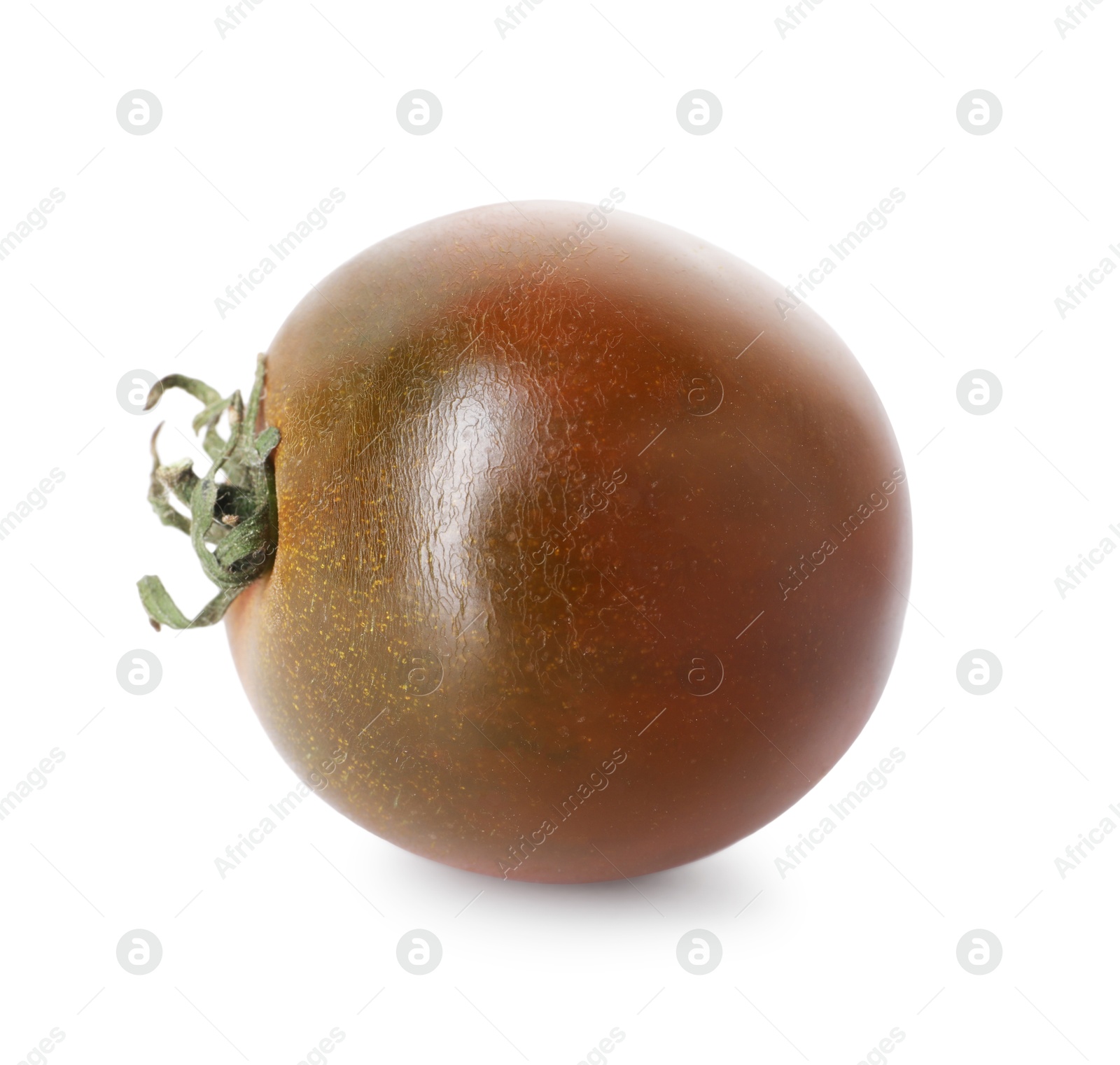 Photo of One ripe brown tomato isolated on white
