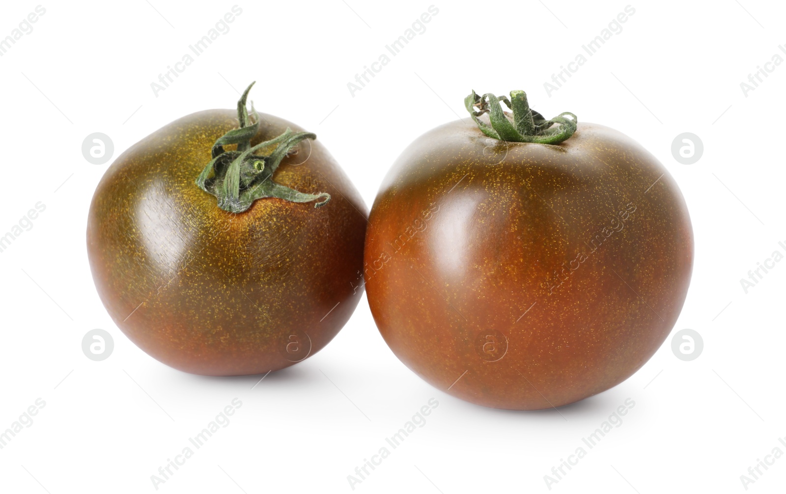 Two ripe brown tomatoes isolated on white Photo of Two ripe brown tomatoes isolated on white