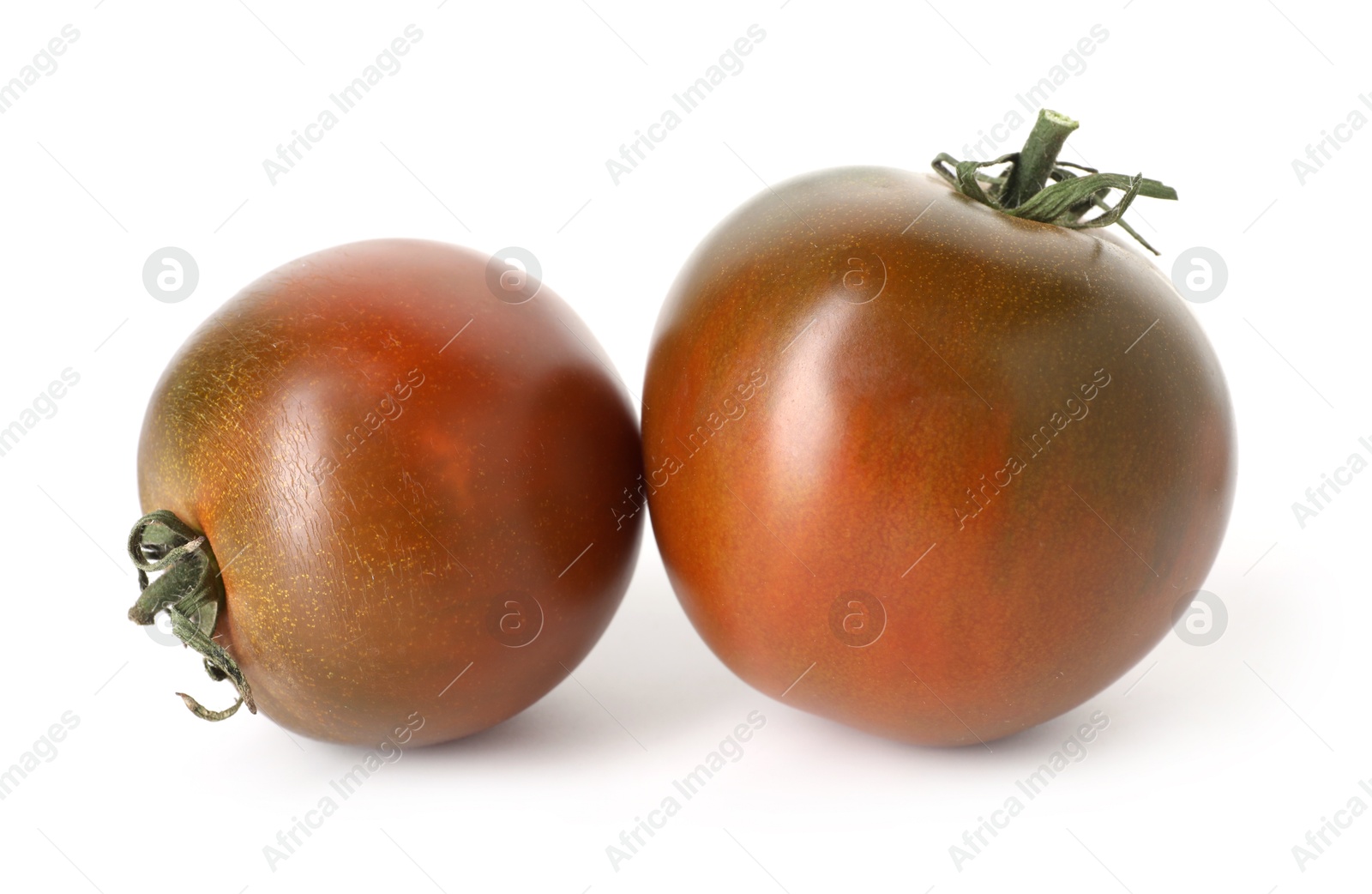 Two ripe brown tomatoes isolated on white Photo of Two ripe brown tomatoes isolated on white