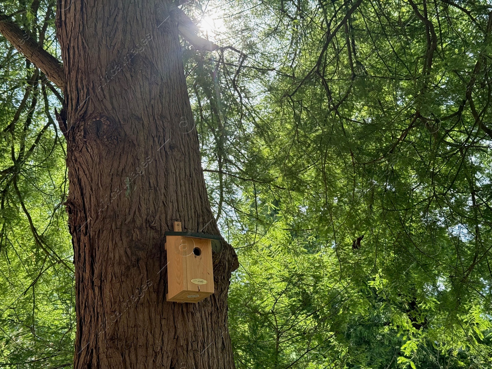 Beautiful wooden birdhouse on tree in park Photo of Beautiful wooden birdhouse on tree in park