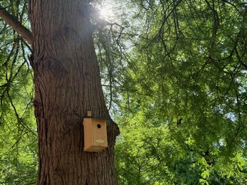 Photo of Beautiful wooden birdhouse on tree in park